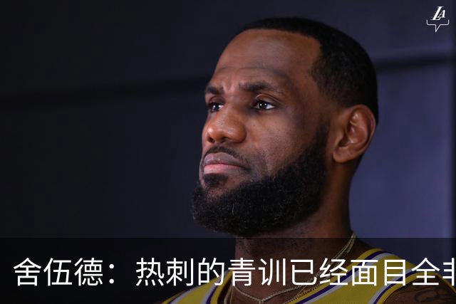 舍伍德：热刺的青训已经面目全非，他们辜负了年轻球员
